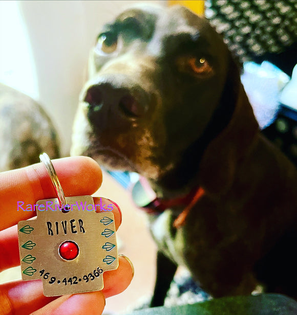 Notched Square Pet ID Tag